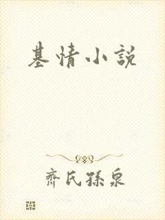 基情小说