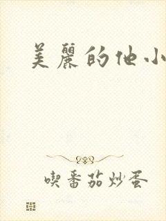 美丽的他小说