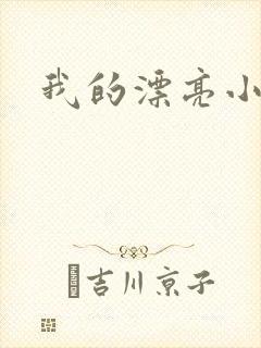 我的漂亮小后妈