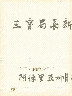 三宝局长新编封面