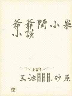 爷爷开小米的包小说封面