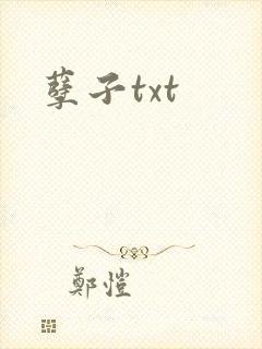 孽子txt封面