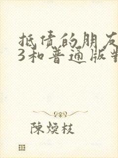 抵债的朋友麦子3和普通版对比