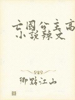 亡国公主高h文 小说辣文