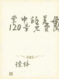 掌中的美母版主120章免费阅读