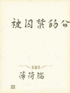 被囚禁的公主封面