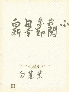 白日梦我小说最新章节阅