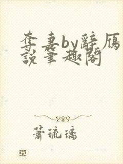 夺妻by辞雁小说笔趣阁