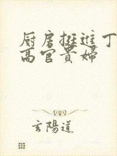 厨房挺进丁字裤高官贵妇