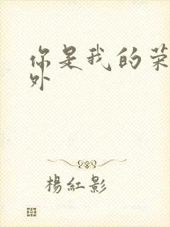 你是我的荣耀番外