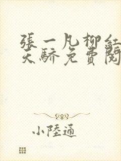 张一凡柳红官道天骄免费阅读笔趣阁