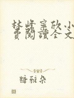 林峰宁欣小说免费阅读全文最新章节笔趣阁