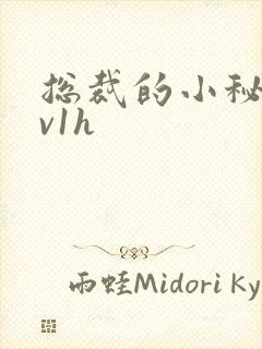 总裁的小秘书1v1h