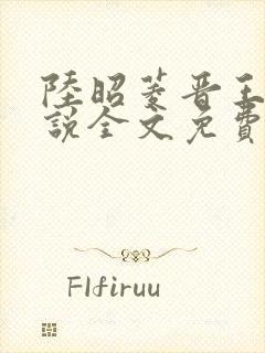 陆昭菱晋王的小说全文免费阅读