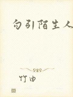 勾引陌生人封面