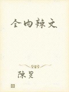 全肉辣文