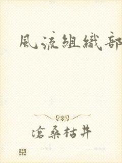 风流组织部长封面