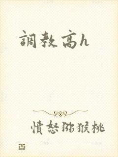 调教高h