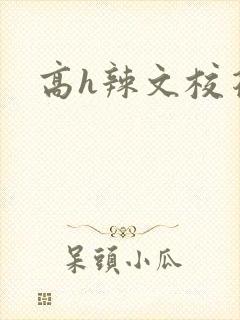 高h辣文校花