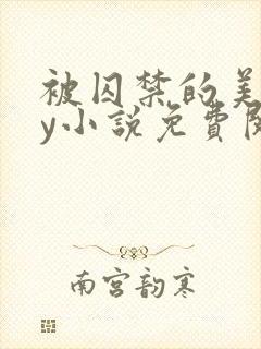 被囚禁的美人by小说免费阅读