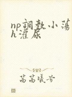 np调教小荡货h灌尿封面