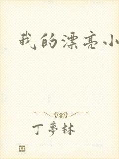 我的漂亮小后妈