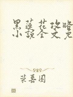 黑莲花攻略手册小说全文免费阅读笔趣阁封面