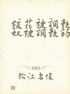 校花被调教成贱奴被调教的小说