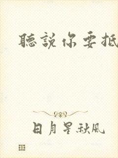 听说你要抵抗我