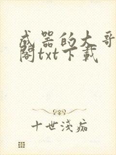 成器的大哥笔趣阁txt下载封面