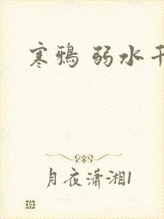 寒鸦 弱水千流封面