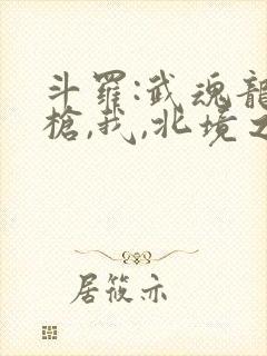 斗罗:武魂龙吟枪,我,北境之主