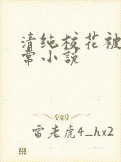 清纯校花被艹日常小说