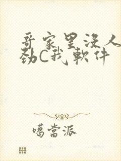 哥家里没人使点劲C我软件