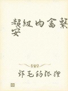 超级肉禽系统保安