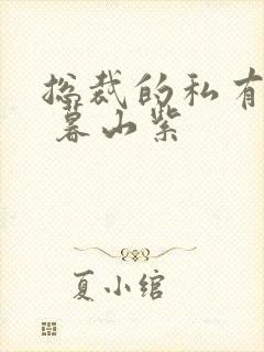 总裁的私有宝贝 暮山紫