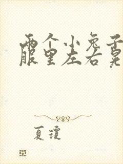 两个小兔子在衣服里左右晃