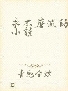 永不磨灭的番号小说