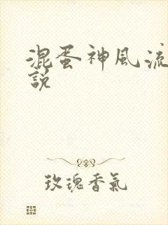 混蛋神风流史小说封面