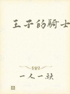 王子的骑士封面
