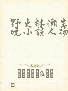 野火林潮生林晚晚小说人物野火