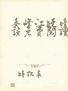 秦峰江晓晴的小说免费阅读