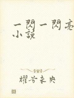 一闪一闪亮星星小说