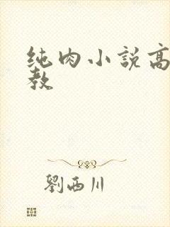 纯肉小说高h调教