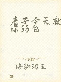 老子今天就要开你的包封面