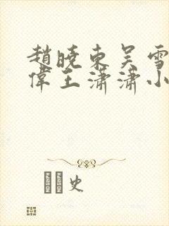 赵晓东吴雪晴郑伟王潇潇小说封面