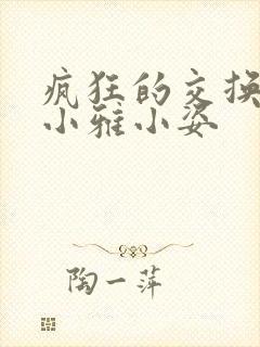 疯狂的交换小静小雅小姿