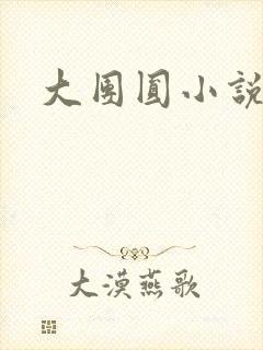 大团圆小说