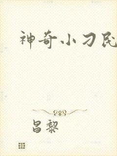 神奇小刁民