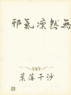 邪气凛然无弹窗